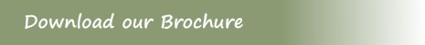 download brochure